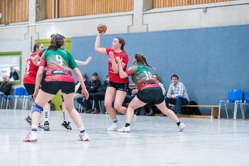 Bild 247 - F HSG Kremperheide/Muensterdorf - TSV SR Schuelp : Ergebnis: 19:14